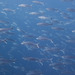 Eastern Australian Salmon - Photo (c) daan_hoffmann, all rights reserved, uploaded by daan_hoffmann