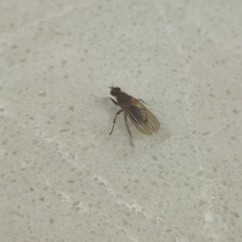 Unknown species found near Waretown, NJ 08758, USA