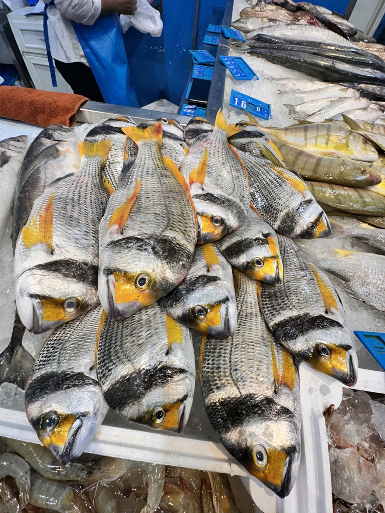 Doublebar Bream