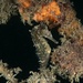 Observation photo