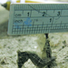Observation photo