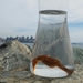 Observation photo
