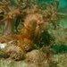 Observation photo