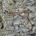 Double-banded Coral Snake Mimic - Photo (c) César Giraldo, all rights reserved, uploaded by César Giraldo