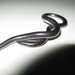 Joshua's Blind Snake - Photo (c) César Giraldo, all rights reserved, uploaded by César Giraldo