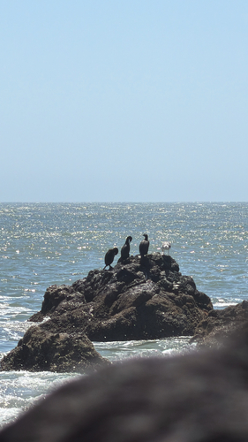 Observation photo
