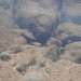 Compsura gorgonae - Photo (c) Eric Moody, todos los derechos reservados, subido por Eric Moody
