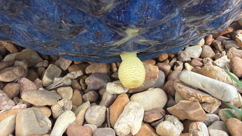 flowerpot parasol