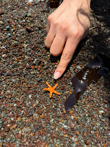 Observation photo