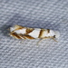 Pompostolella charipepla - Photo (c) Jay L. Keller, todos los derechos reservados, subido por Jay L. Keller
