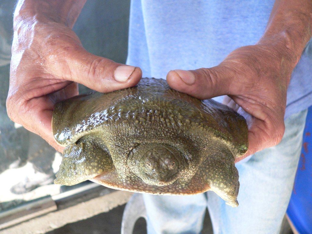 Photo by zeno_wijtten