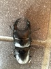 Japanese Great Stag Beetle - Photo (c) 藤原真也, all rights reserved, uploaded by 藤原真也