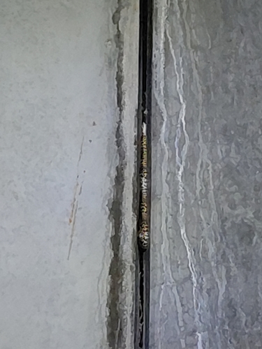 Horseshoe Whip Snake