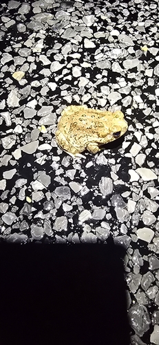 Texas Toad
