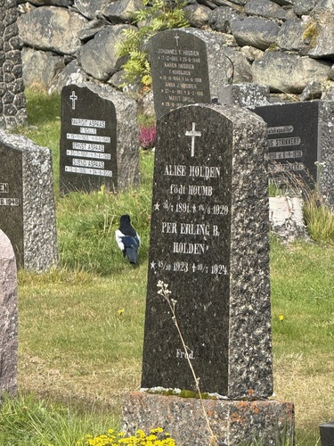 Eurasian Magpie