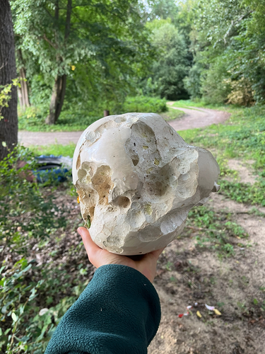 giant puffball