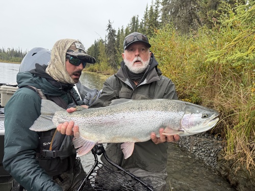 Coastal Rainbow Trout