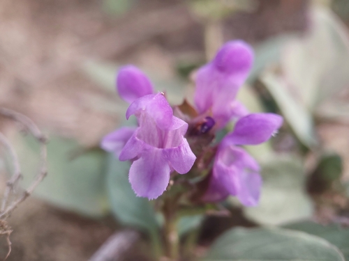 Large Self-heal