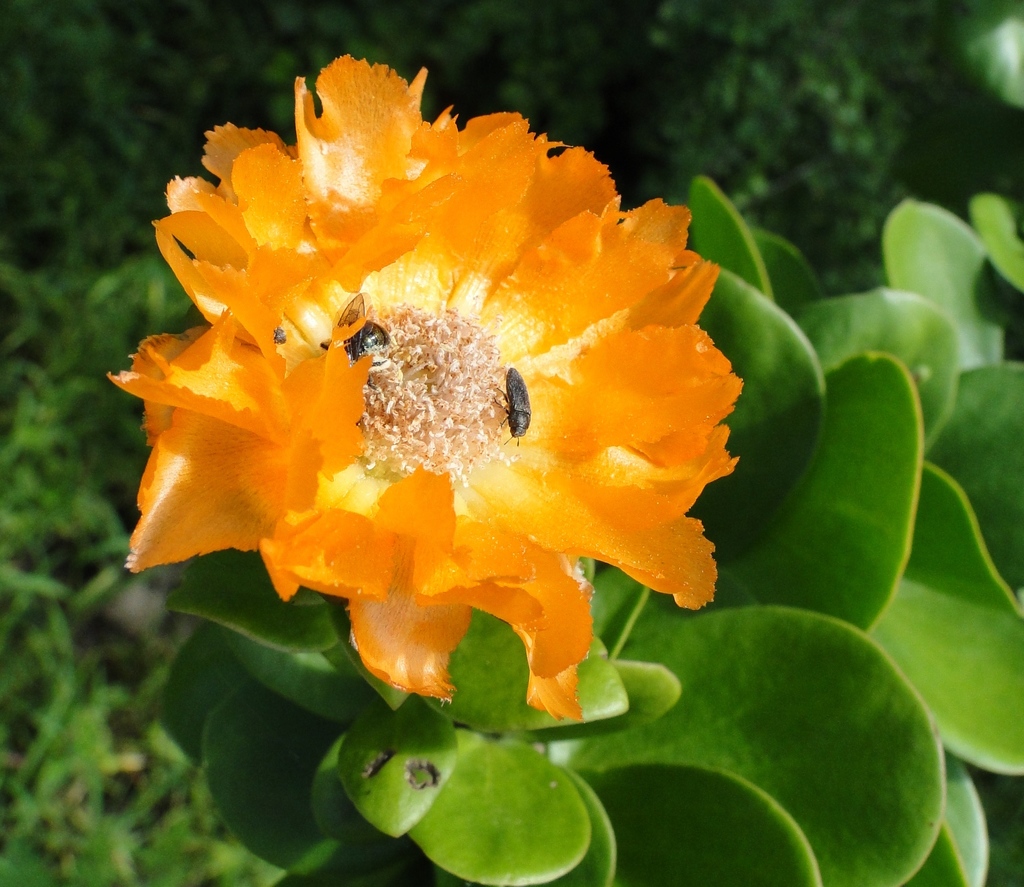 June 21 2010 Angel Number