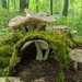 Eastern American Platterful Mushroom - Photo (c) Dana, all rights reserved, uploaded by Dana