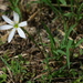 Square