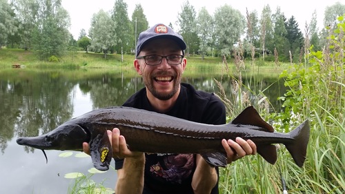 Siberian Sturgeon