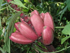 Ayollar Ligasi porno seriyasi Rus pornosi: er xotinini aldadi