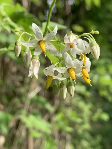 Posted Image, might have been reduced in size. Click Image to view fullscreen.