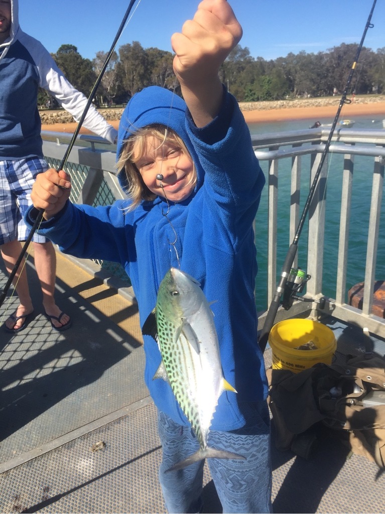 Leaping Bonito from Queensland, AU on June 5, 2017 at 03:59 PM by liam ...