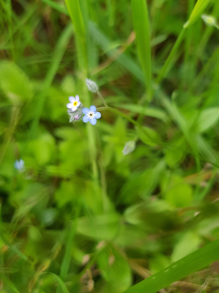 Changing from Kidderminster DY10 4NX, UK on 26 July, 2020
