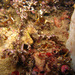 Observation photo
