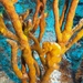 Observation photo