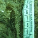 Observation photo