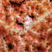 Observation photo