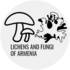 Lichens and Fungi of Armenia / Հայաստանի քարաքոսերն ու սնկերը icon