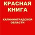 Брюхоногие из Красной книги Калининградской области icon