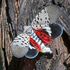 Spotted Lanternfly and its hosts icon