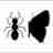 Ant-Butterfly Interactions - Borboletas formigueiras icon