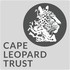 Leopards in the Western Cape icon