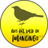 Aves del Valle de Tulancingo icon