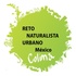Reto Naturalista Urbano México 2021 - Colima - Villa - Comala icon