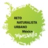 Reto Naturalista Urbano México 2021 - Manzanillo icon