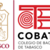 Proyecto Naturalista Urbano COBATAB 2021 icon