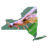 New York Nuptial Flights (Formicidae) icon