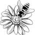 Loughborough Pollinator Project icon