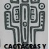 Cactáceas y suculentas en Mexicali icon