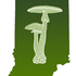 Indiana Fungi 2021 icon