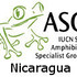 Anfibios de Nicaragua /Amphibians of Nicaragua icon