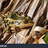 Northern Leopard Frog icon