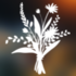 Native Plant Festival BioBlitz 2021 icon